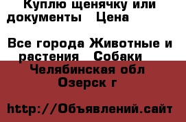 Куплю щенячку или документы › Цена ­ 3 000 - Все города Животные и растения » Собаки   . Челябинская обл.,Озерск г.